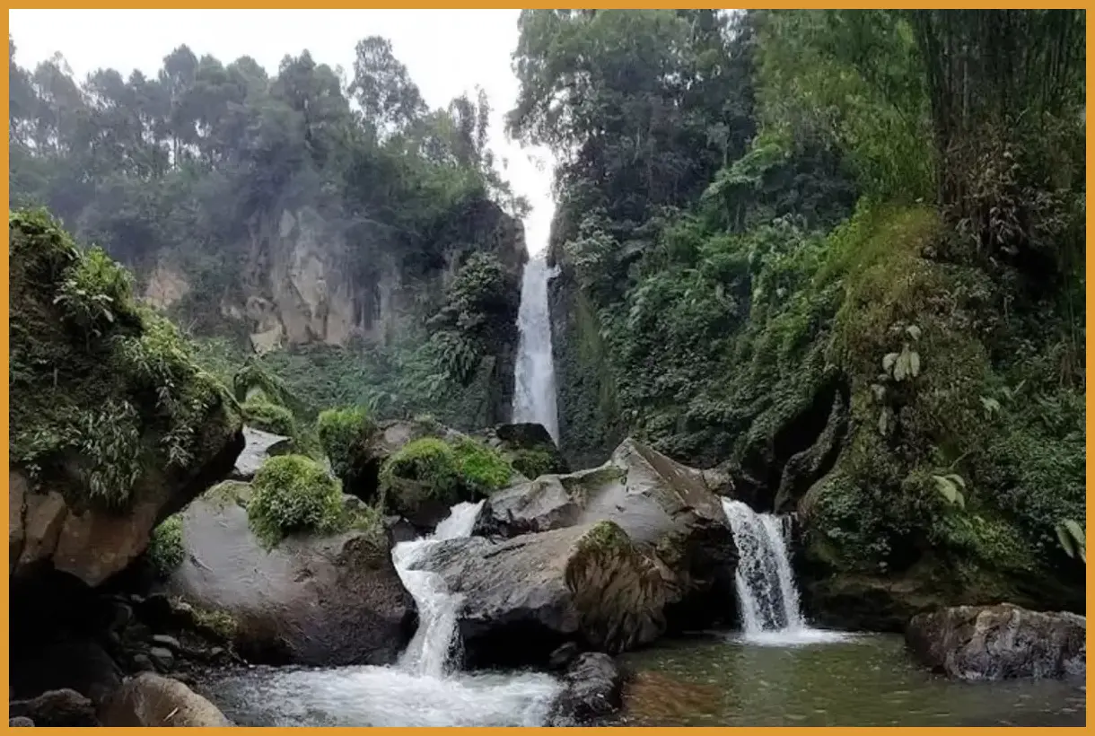 Gunakan teknik long exposure pada aliran air di sela-sela akar pohon di Coban Gintung untuk menciptakan efek visual halus seperti kapas.