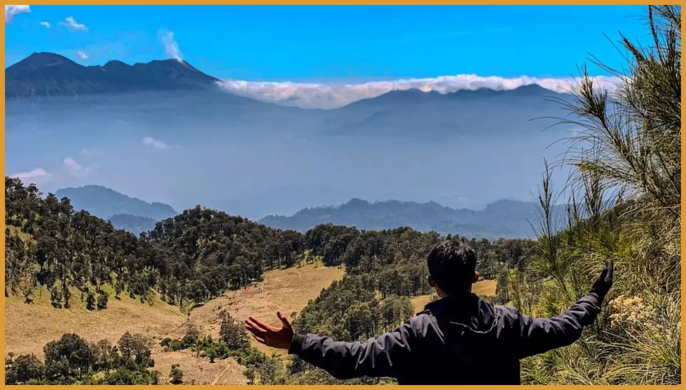 Dokumentasi saat melewati jalur hutan pinus yang tertutup kabut tipis untuk mendapatkan kesan petualangan yang dramatis.
