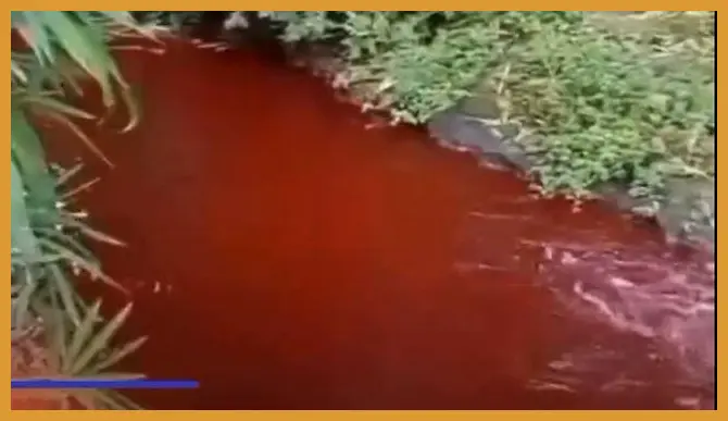Area muara sungai saat senja memberikan pantulan warna langit yang sangat tenang di permukaan air, sangat kontras dengan ombak besar di sisi laut.
