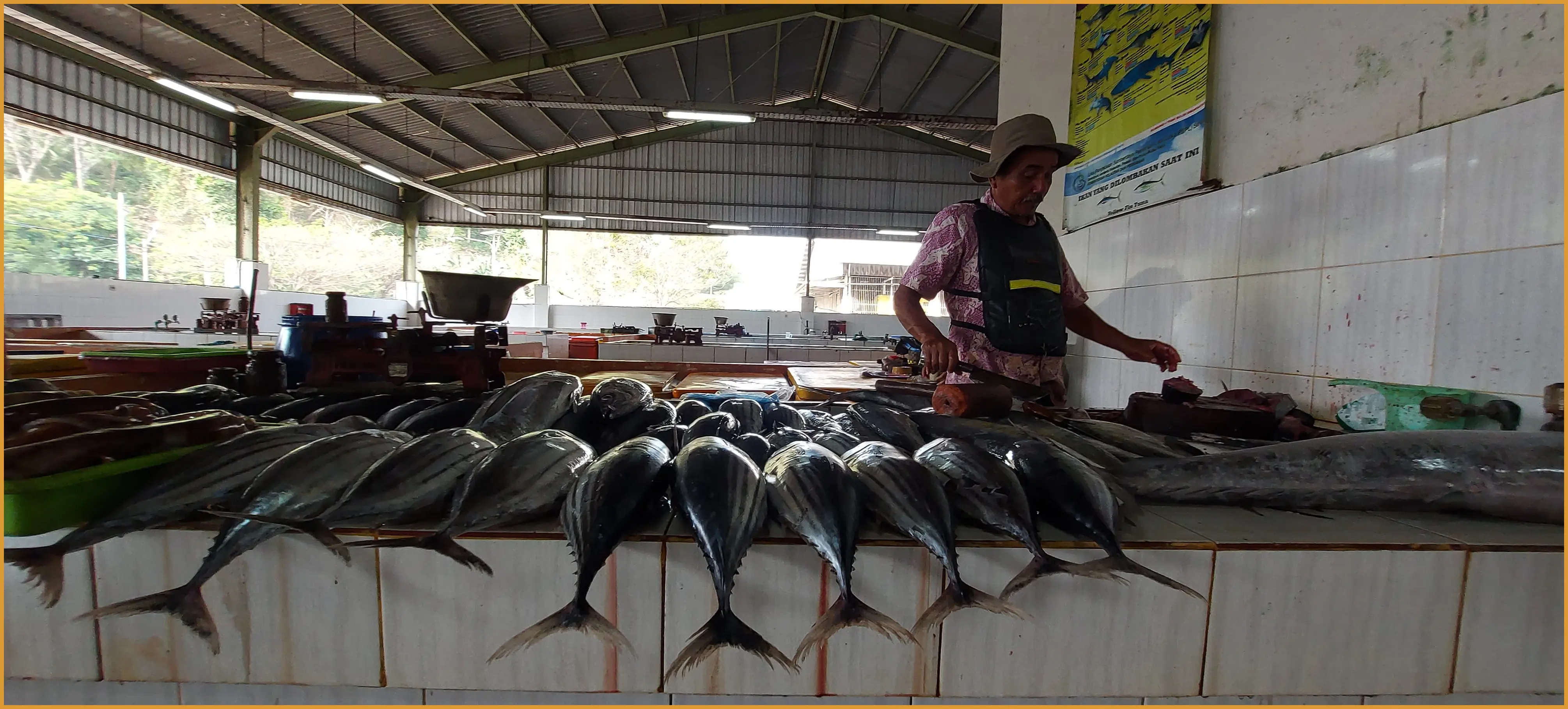 Ambil foto dari sudut rendah (low angle) saat nelayan menurunkan keranjang ikan tuna besar dari kapal dengan latar belakang air laut biru kehijauan.